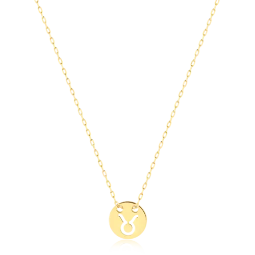 Gargantilha Redonda Lisa Touro Folheada a Ouro 18K