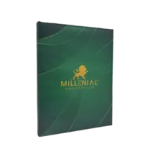Estojo Millenial Misto 21x29x5