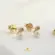 Brinco Pérola e Ponto de Luz Folheado a Ouro 18k