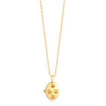 Gargantilha Relicário Pet 4 Patas Folheado a Ouro 18k