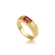 Anel de Formatura  Masculino Folheado a Ouro 18k