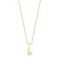 Gargantilha Folhas Gota Zircônia Folheada a Ouro 18k