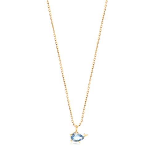 Gargantilha Baleia Zircônia Folheada a Ouro 18k