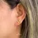 Brinco Peixe Zircônia Folheado a Ouro 18k