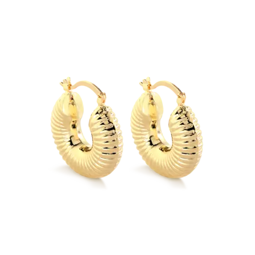 Argola Sanfonada Folheada a Ouro 18k